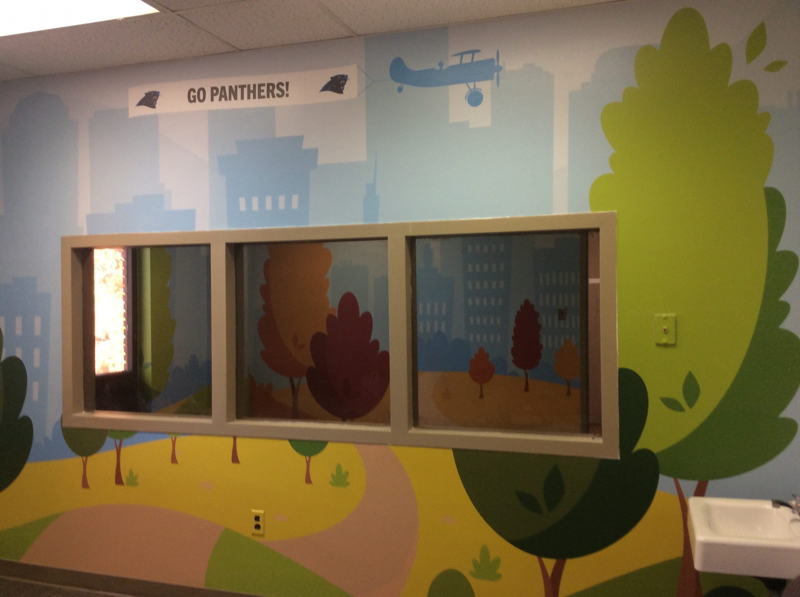 Atrium Health & Carolina Panthers: Project Spotlight