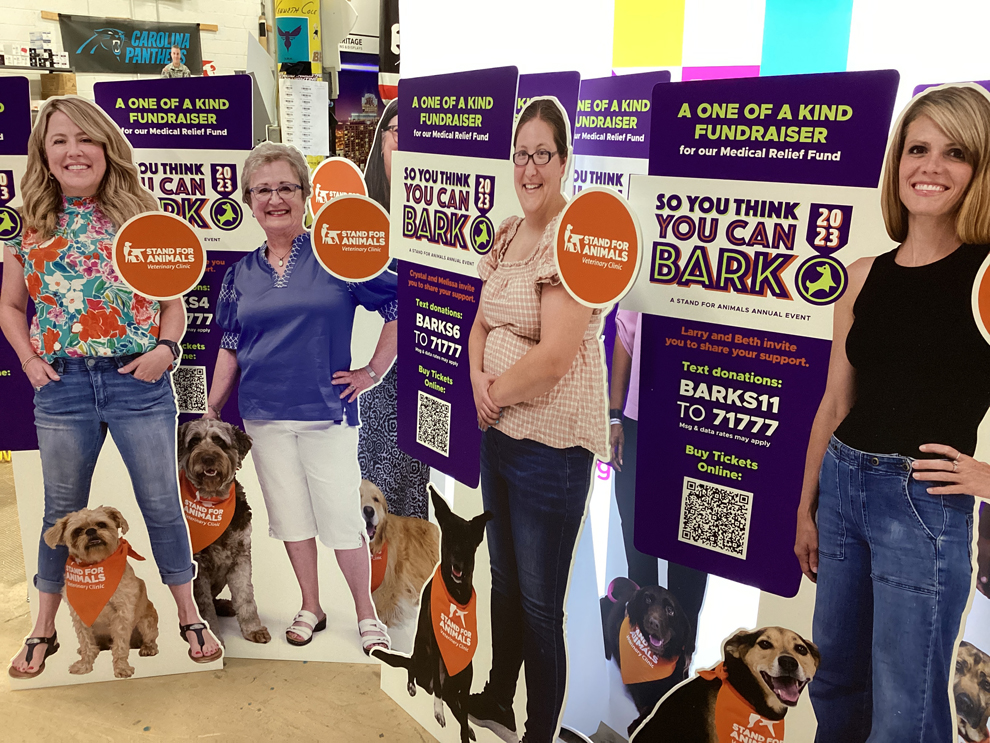 Life Size Cut Outs Charlotte NC