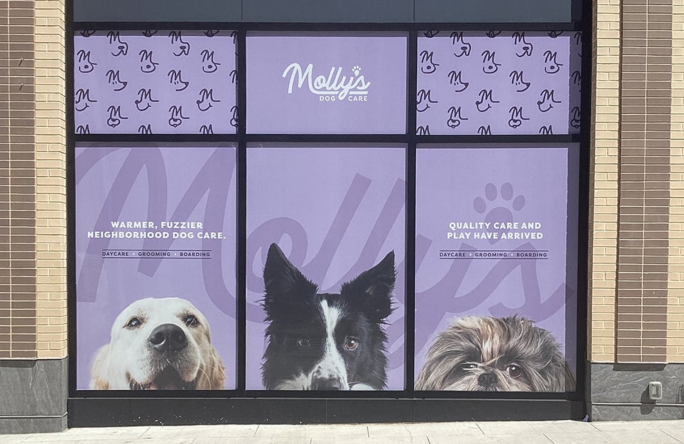 Adhesive vinyl graphics for company branding in Charlotte, NC