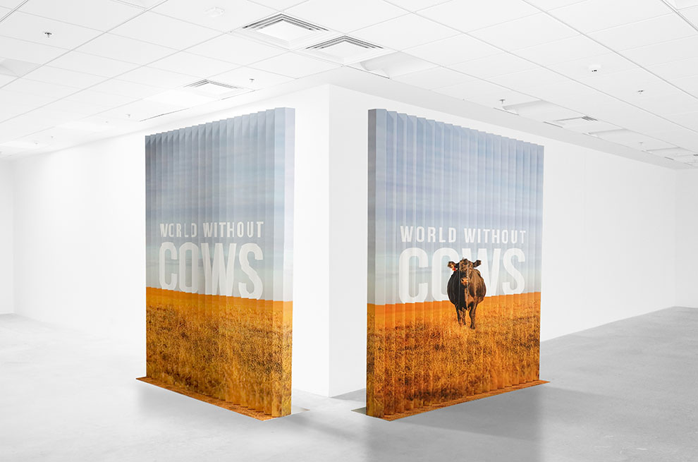 Lenticular Wall Displays in Spartanburg, SC