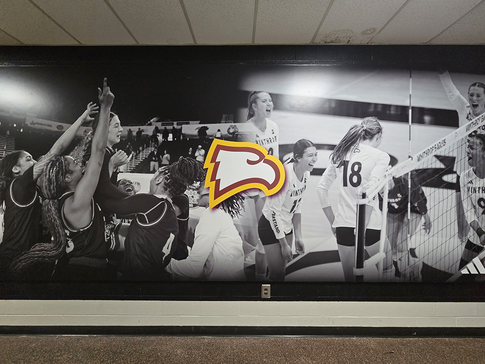 Experiential Graphics in Charlotte, NC designed and installed to brand workplace hallways and collaborative spaces