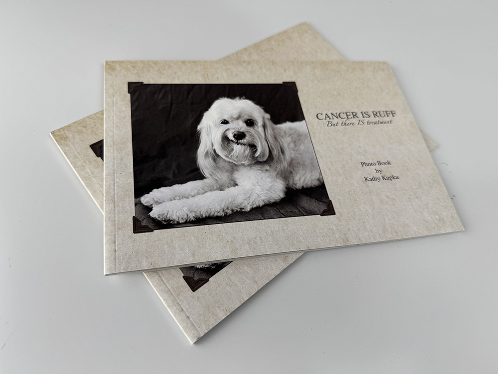 Perfect Bound Books in Charlotte, NC printed and produced for professional corporate communications