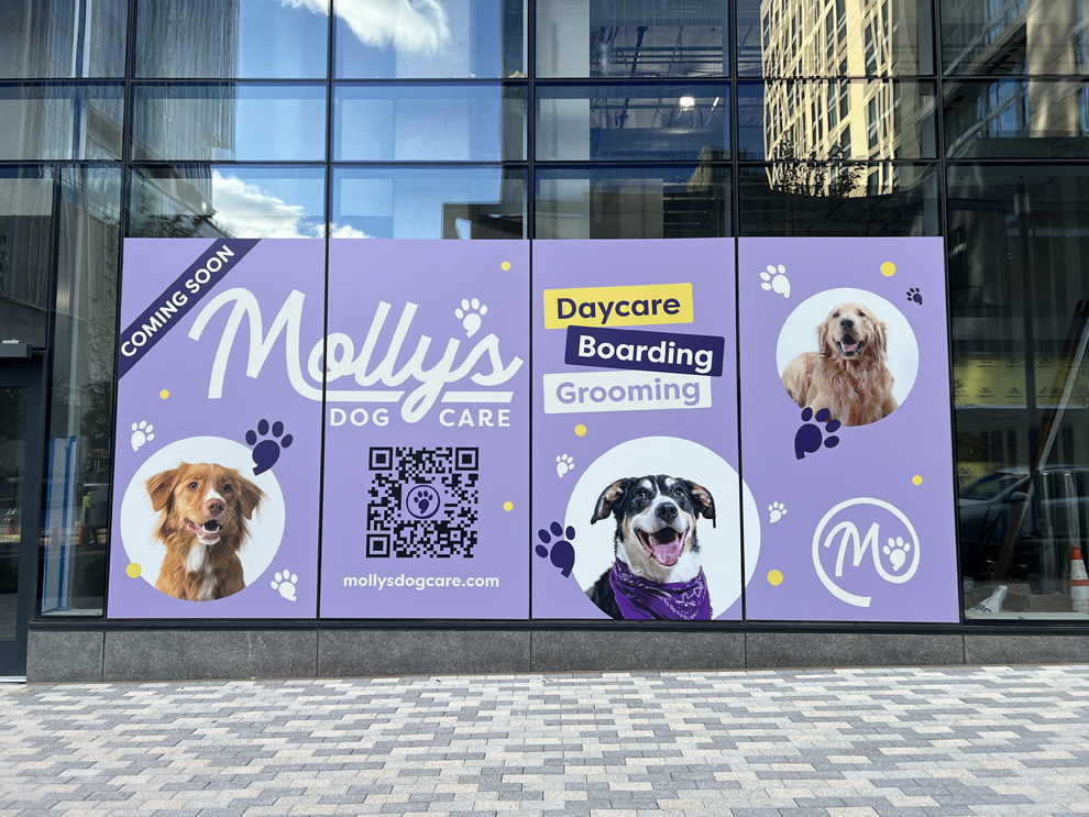 Storefront graphics and window decals designed for office branding Charlotte, NC