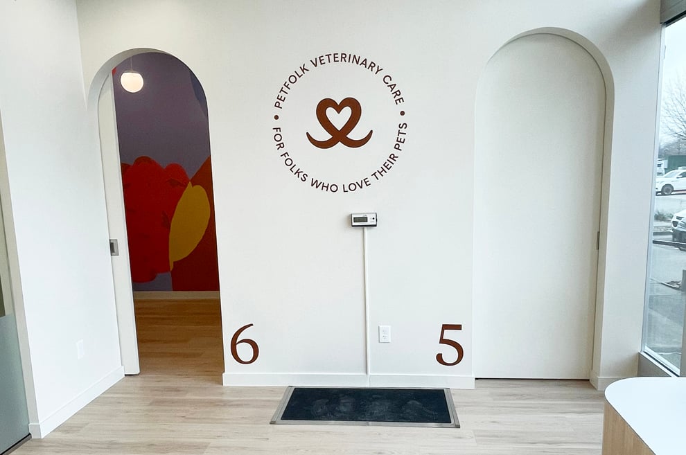 Office and business storefront graphics installed Lincolnton, NC